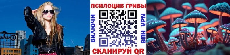 где купить наркоту  Зерноград  ссылка на мегу ТОР  Галлюциногенные грибы Cubensis 